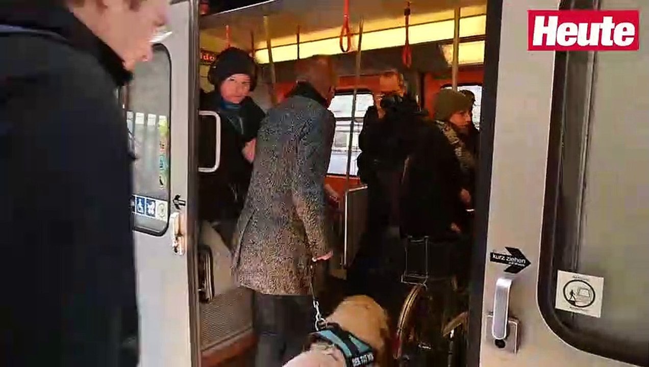 Anschober: 'Agur ist der grünste Hund Österreichs'