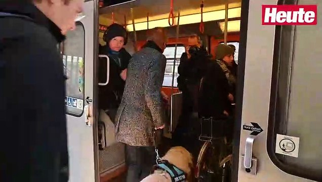 Anschober: Agur ist der grünste Hund Österreichs