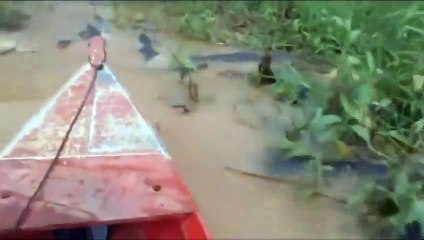 Um passeio de barco que ninguém certamente gostaria de fazer