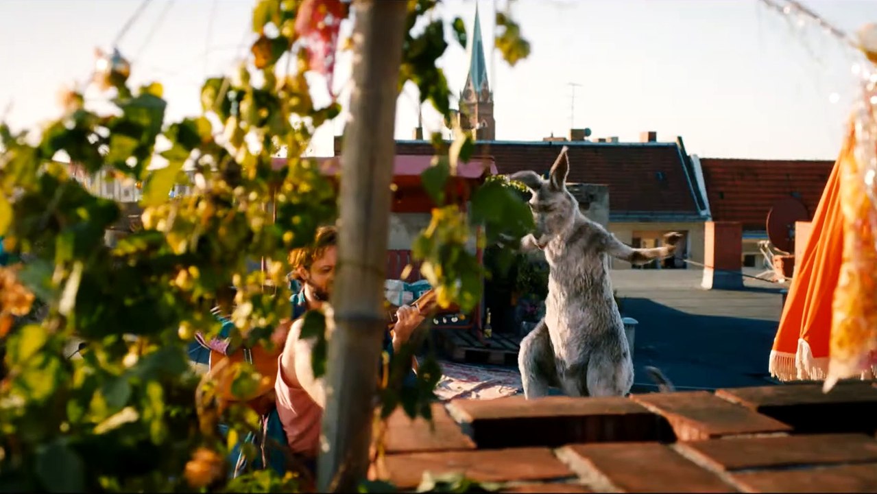 DIE KÄNGURU-CHRONIKEN Film - Das Känguru und Marc-Uwe Kling