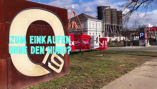 Hänge Hund nirgends an, habe viel zu viel Angst