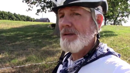 Baby Alpaca From Birth to First Steps