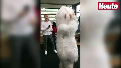"Masked Singer Austria": Erster Blick auf die Masken