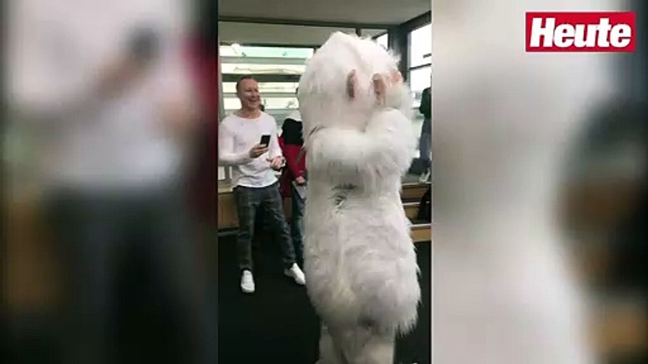 "Masked Singer Austria": Erster Blick auf die Masken