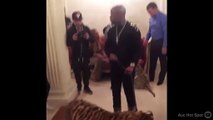 Mayweather pasea a sus tigres en un hotel de Moscú
