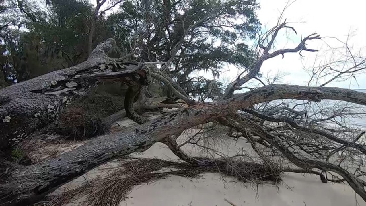 Gullah communities continue to ride out hurricanes