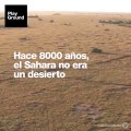 ¿Creó el ser humano el desierto más grande del planeta?