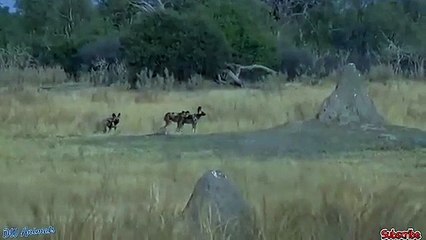 대덕출장서비스 대덕출장서비스O1OE9914E7203｛카톡DDD22｝ 대덕출장마사지샵 대덕출장안마on대덕출장안마cos여3♪⇔∃마사지황형♥∬≪