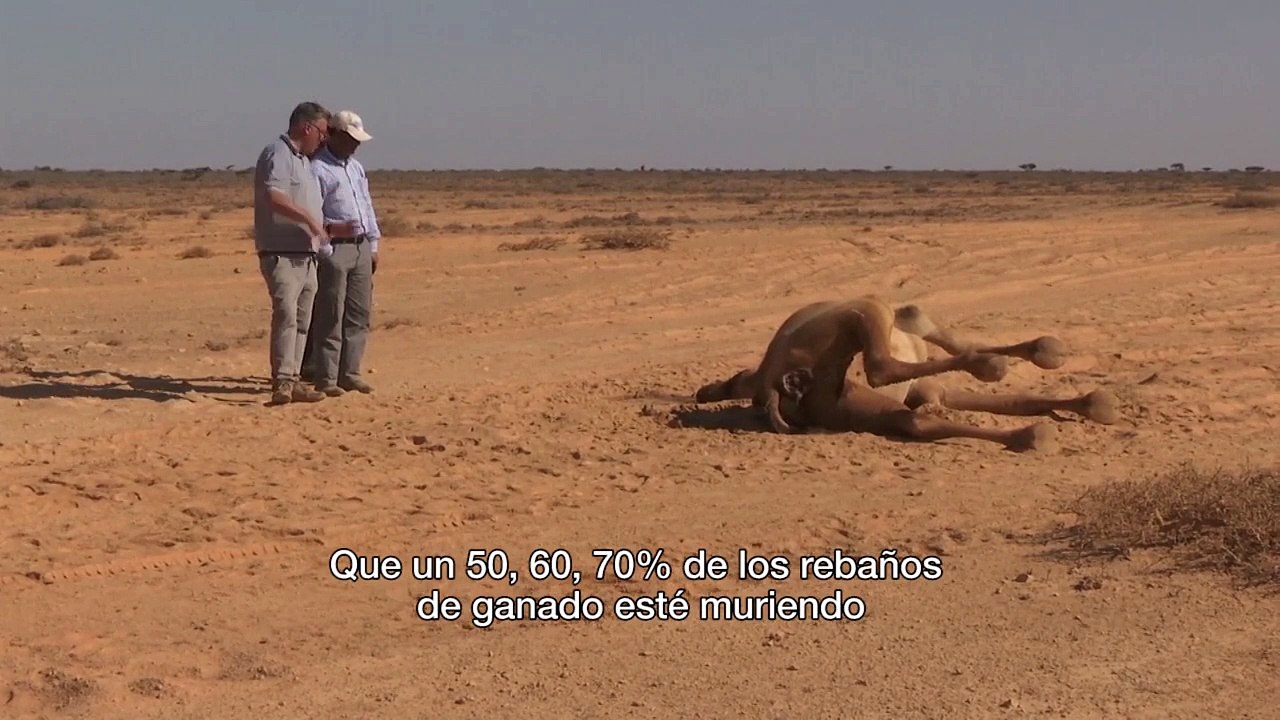 Sequía somalí