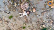 Une poupée Chucky échouée sur la plage intéresse les biologistes