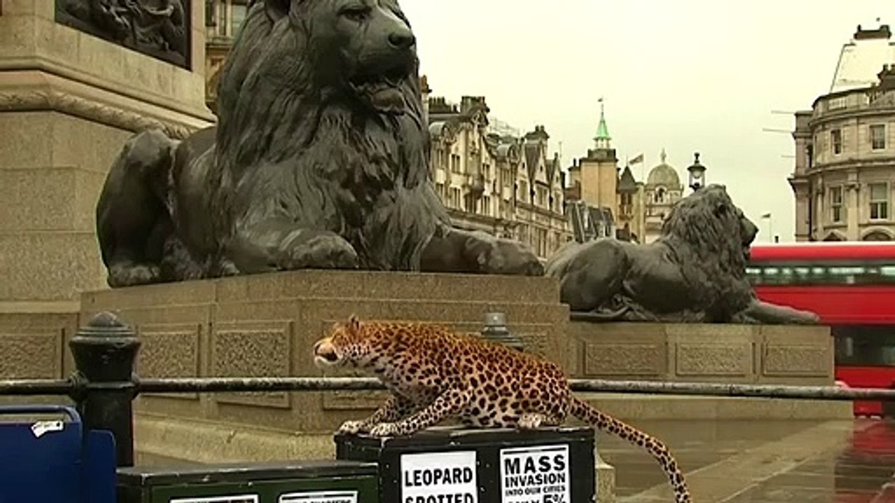 Leopardo en Times Square