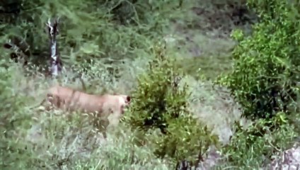 거제출장서비스 거제출장서비스O1Og4832g2166｛카톡BBC42｝ 거제출장마사지샵 거제출장안마on거제출장안마cos여3♪⇔∃마사지황형♥≩≪