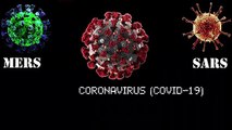 China Wuhan Coronavirus(Covid-19) Comparison Sars Mers Effects on countries Coronavirus Effects