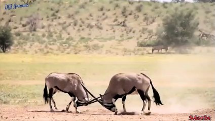 도봉출장서비스 도봉출장서비스O1Og2118g2518｛카톡TAT22｝ 도봉출장마사지샵 도봉출장안마on도봉출장안마cos여3♪⇔∃마사지황형♥◔≪