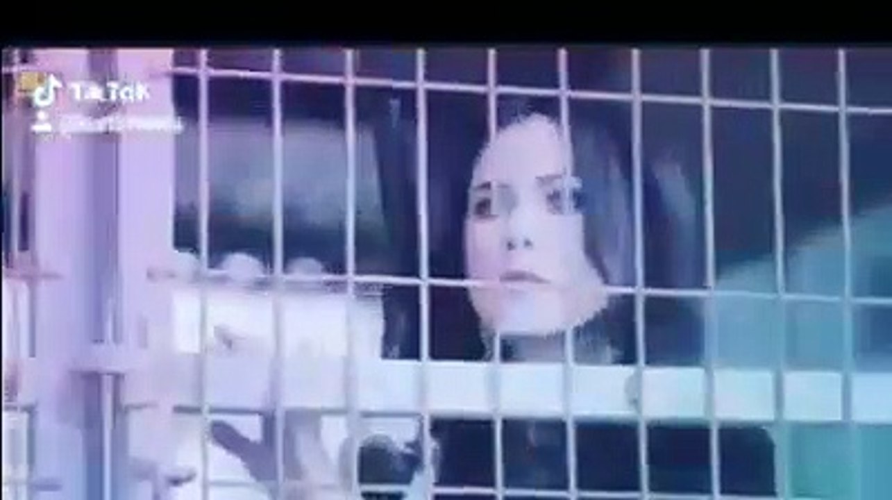 kurtlarkaos Tiktok