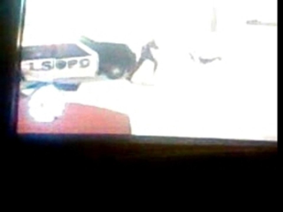 Saut
