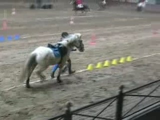 Ronchin 10.02.08 Marches