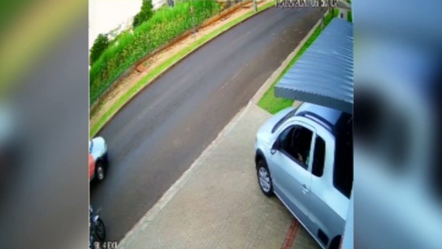 Ataque de Pitbull assusta moradores do Bairro Coqueiral em Cascavel