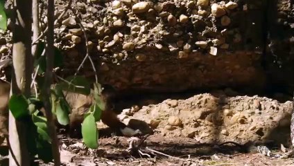 충남출장서비스 충남출장서비스O1OE2541E2560｛카톡SUV9｝ 충남출장마사지샵 충남출장안마on충남출장안마cos여3♪⇔∃마사지황형♥≡≪