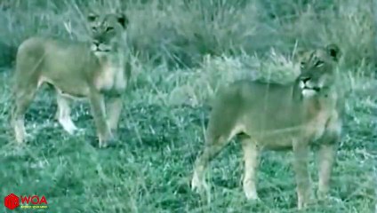 태종대추천업소【OI0↔29O8↔68O③】태종대추천업소예약♥∈≪