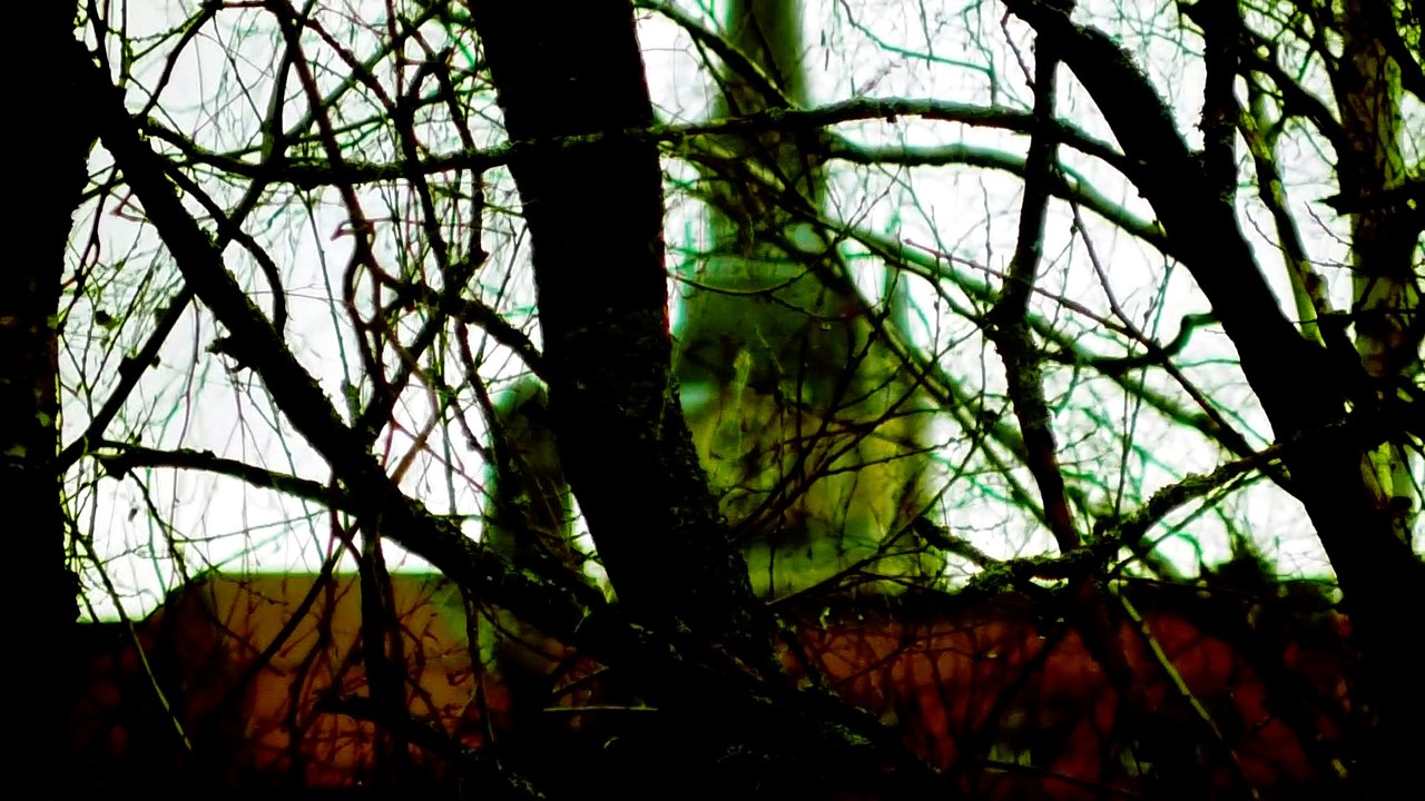 Feb 1 2020 DL1