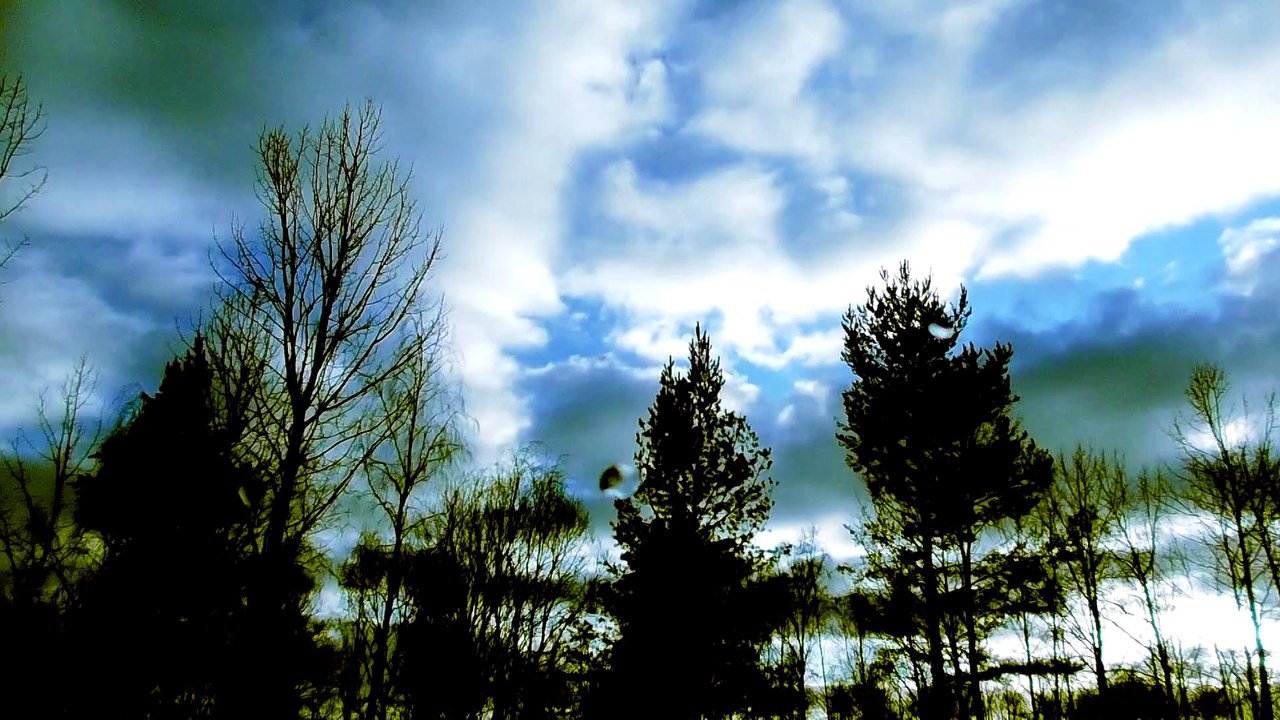 Feb 1 2020 DL2