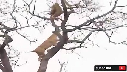 광주출장서비스 광주출장서비스O1OE6683E6402｛카톡GMC3 라인gmc3｝ 광주출장마사지샵 광주출장안마on광주출장안마cos여3♪⇔∃마사지황형♥◞≪