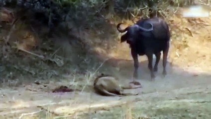 천안출장서비스 천안출장서비스O1OE2104E4640｛카톡YOK88｝ 천안출장마사지샵 천안출장안마on천안출장안마cos여3♪⇔∃마사지황형♥◣≪