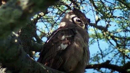 순창추천업소【OI0↔29O8↔68O③】순창추천업소예약♥◫≪