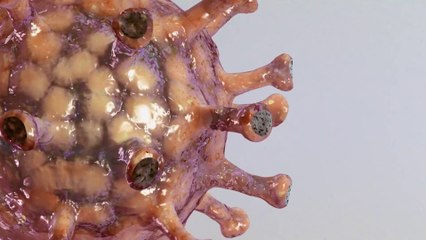 The Coronavirus Epidemic Breakthrough (2020) Documentary