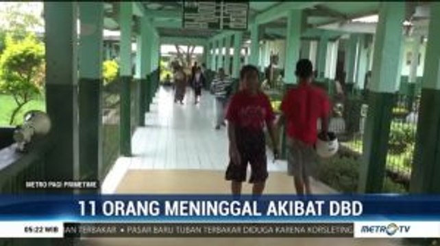 11 Orang di Kab Sikka Meninggal Dunia Akibat DBD