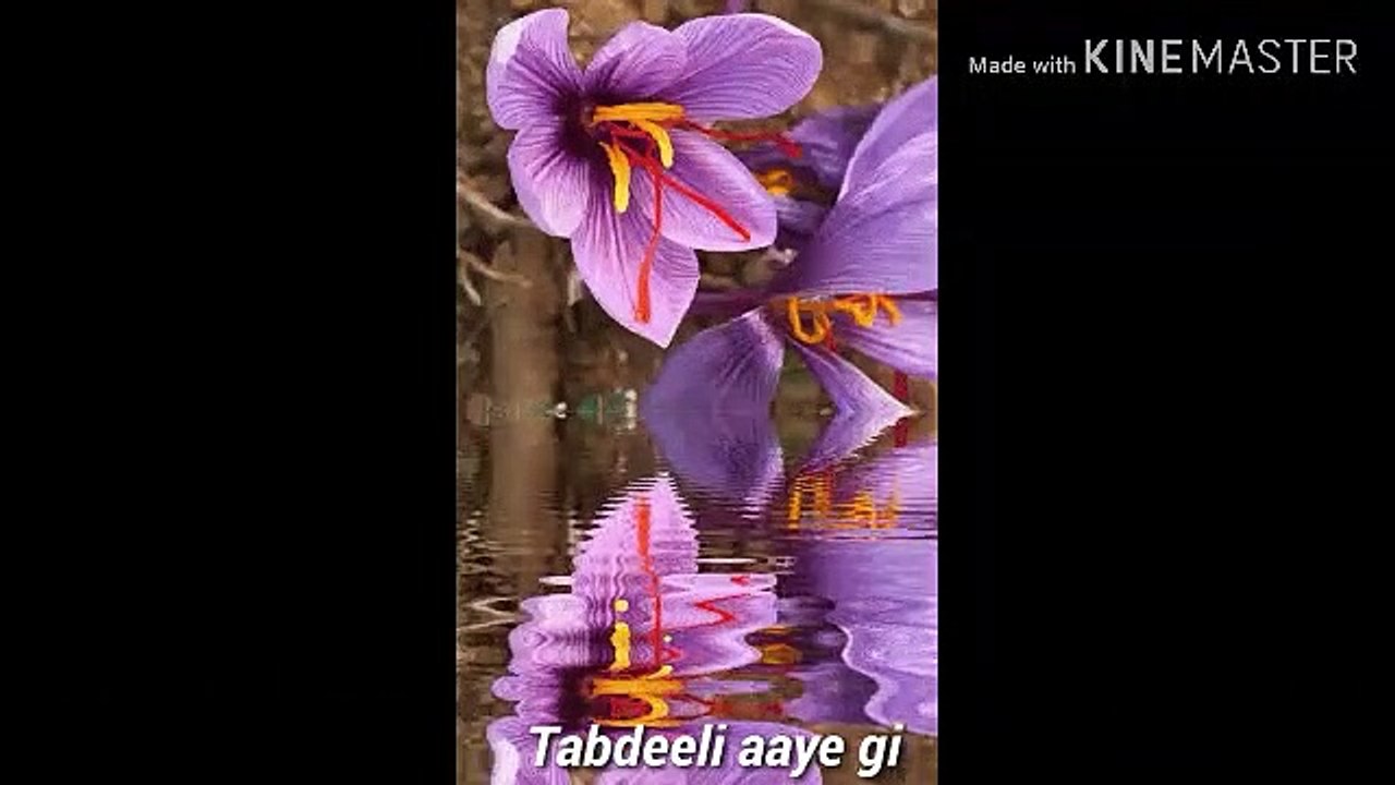 Tabdeeli Aaye ghi