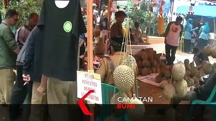 Mantap! Legit dan Manis Durian Asal Sukabumi