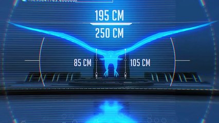 ¡Las Criaturas Voladoras Más Grandes Encontradas en la Tierra!