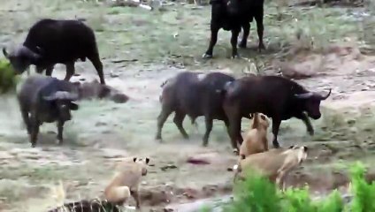 경주출장서비스 경주출장서비스O1OE9914E7203｛카톡MOK8｝ 경주출장마사지샵 경주출장안마on경주출장안마cos여3♪⇔∃마사지황형♥⊆≪