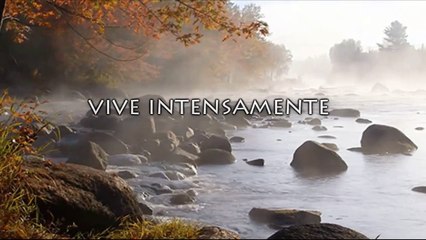 Hermosa Reflexión que Puede Cambiar tu Vida