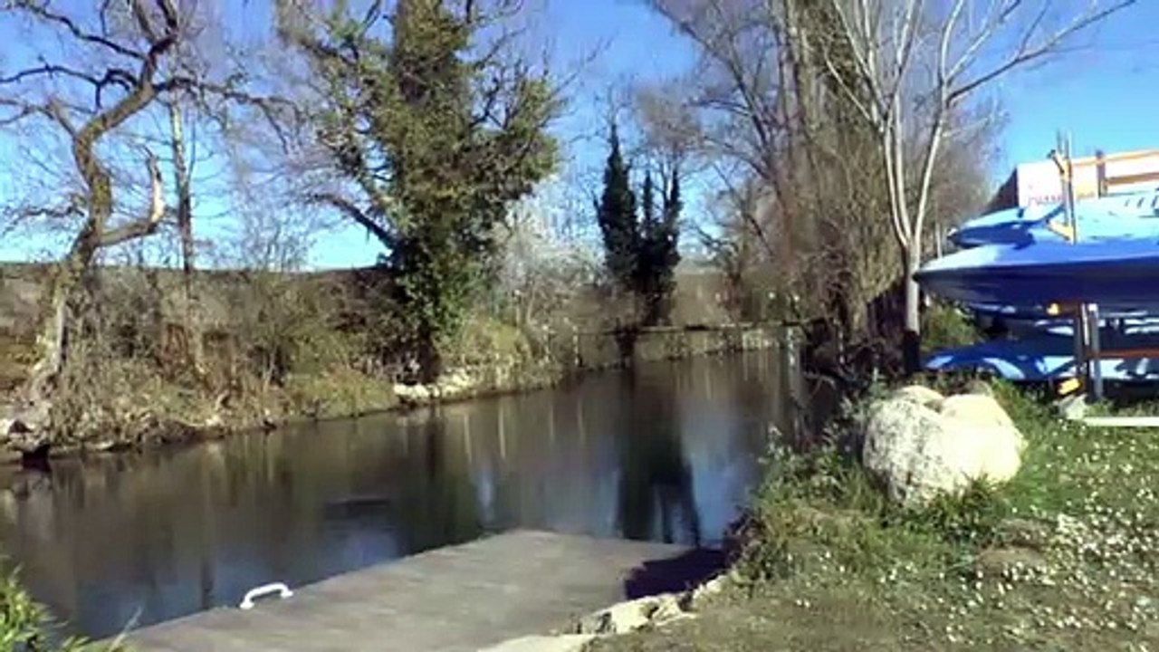 LES PROMENADES DE MICHOU W-D.D. - 23 FÉVRIER 2020 - PAU - PROMENADE DOMINICALE AU STADE D'EAUX VIVES