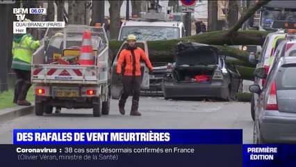 Download Video: À Paris, les vents violents ont fait un mort et plusieurs blessés jeudi