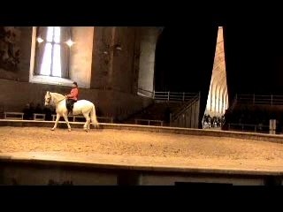 Représentation de dressage à chantilly 1ère partie