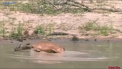 마산출장서비스 마산출장서비스O1OE2908E6803｛카톡ABC23｝ 마산출장마사지샵 마산출장안마on마산출장안마cos여3♪⇔∃마사지황형♥⊀≪