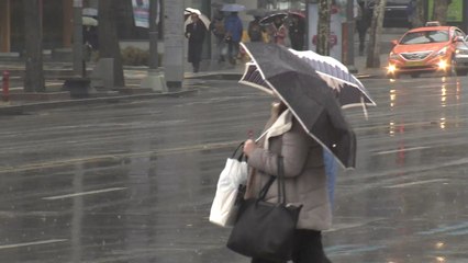 [날씨] 비 내리며 쌀쌀, 산간 눈...주말 맑고 포근 / YTN