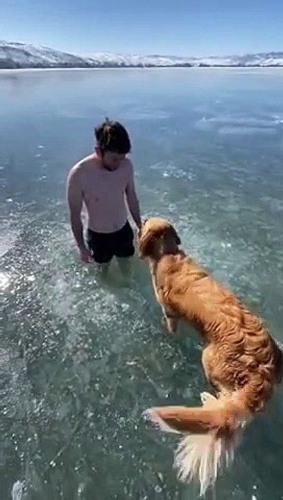 Il manque de rester coincé sous la glace d'un lac en nageant !