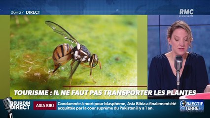 Objectif Terre : Tourisme, il ne faut pas transporter les plantes - 28/02