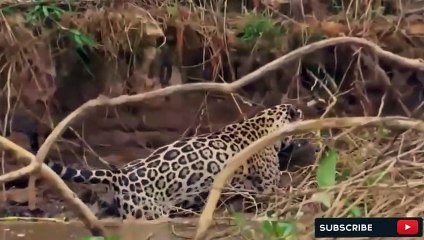 이천출장서비스 이천출장서비스O1OE6579E3382｛카톡COM23｝ 이천출장마사지샵 이천출장안마on이천출장안마cos여3♪⇔∃마사지황형♥∵≪