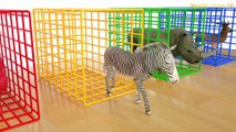 Learn Colors With Animal - Animals Transporter for Kids - Colours With Animals Ball Pit Show for Children