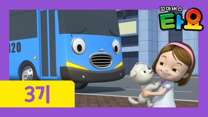 19화 강아지를 키우고 싶어요 l 꼬마버스타요 3기