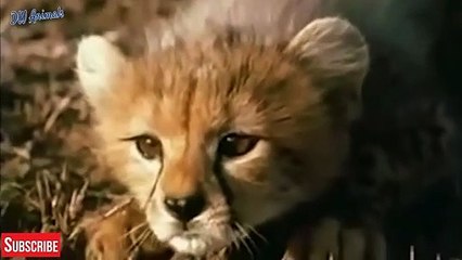 구로출장서비스 구로출장서비스O1OE2104E4640｛카톡YOK88｝ 구로출장마사지샵 구로출장안마on구로출장안마cos여3♪⇔∃마사지황형♥≥≪