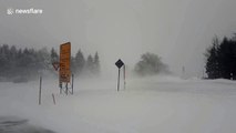 Blizzard conditions as Storm Bianca brings snow and heavy winds to Germany