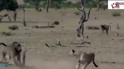 포항출장서비스 포항출장서비스O1OE6683E6402｛카톡GOO56｝ 포항출장마사지샵 포항출장안마on포항출장안마cos여3♪⇔∃마사지황형♥≅≪