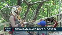 Bukan Hanya Soal Pemandangan, Hutan Mangrove Memiliki Manfaat Besar